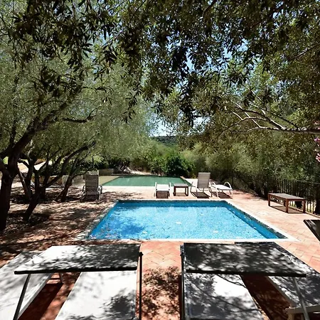 Abba & Murta 3* トルトリ